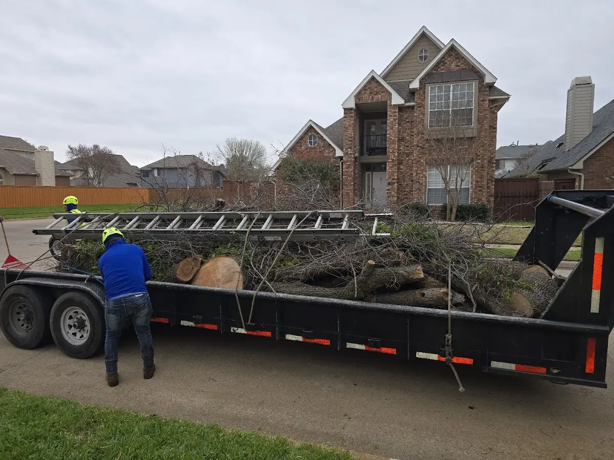 Expert Tree Removal with proper safety equipment in Spanish Fort